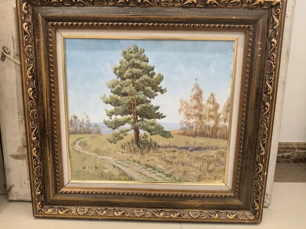 Сосна